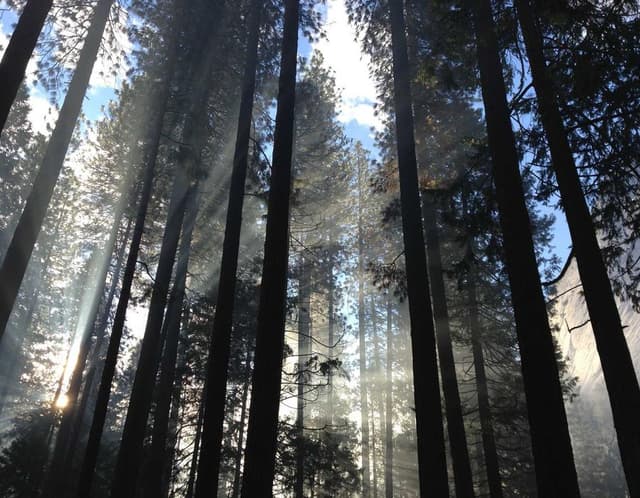 Aurora Mechanical Keyboard's image