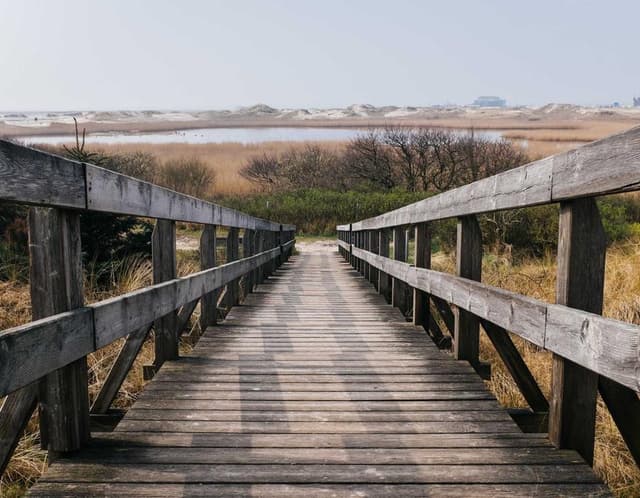 Breeze Smart Fan's image