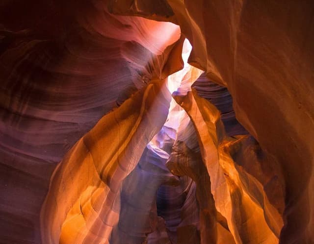 EcoWave PureMist Smart Humidifier's image