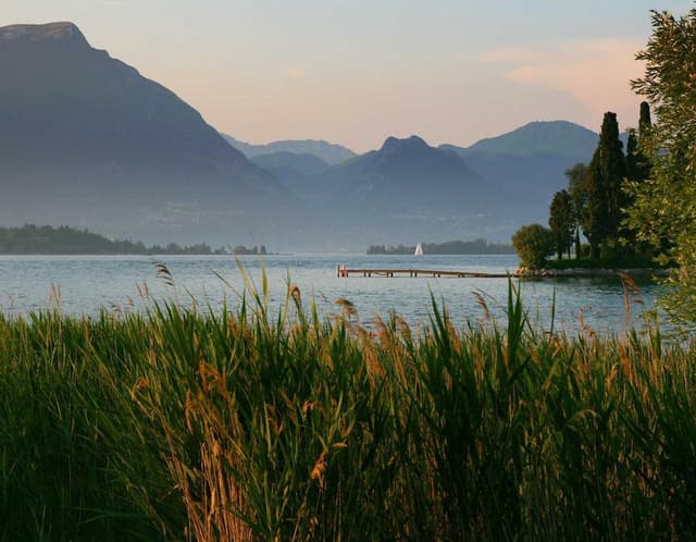 HomeNest LumiDesk LED Task Lamp's image